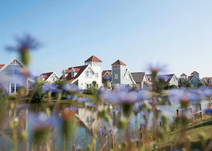 Summio Duynparc De Heeren Van \'S-Gravensande