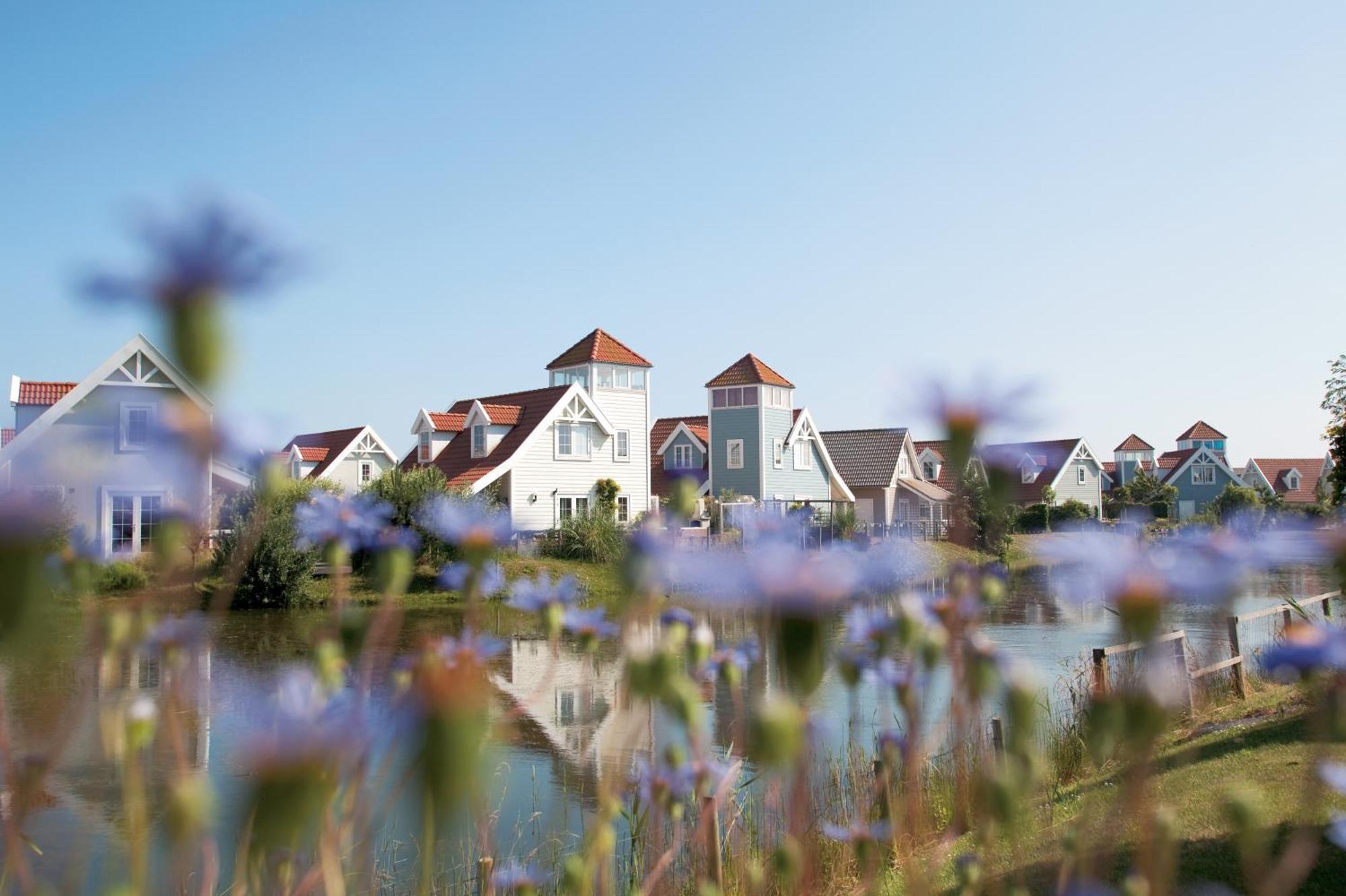 Summio Duynparc De Heeren 's-gravensande s-Gravenzande